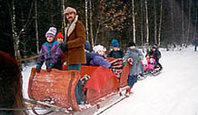 Kulig